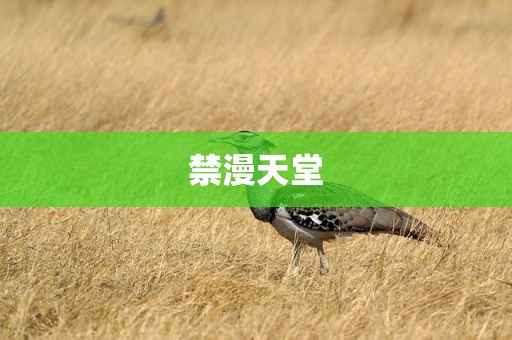 禁漫天堂