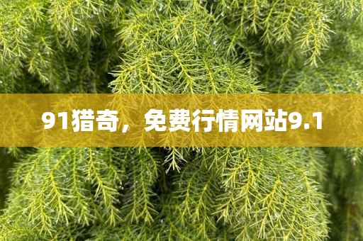 91猎奇，免费行情网站9.1