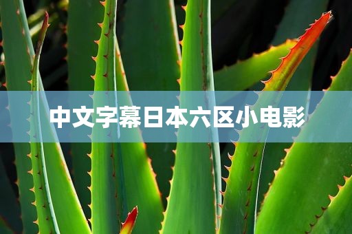 中文字幕日本六区小电影