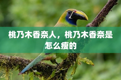 桃乃木香奈人，桃乃木香奈是怎么瘦的
