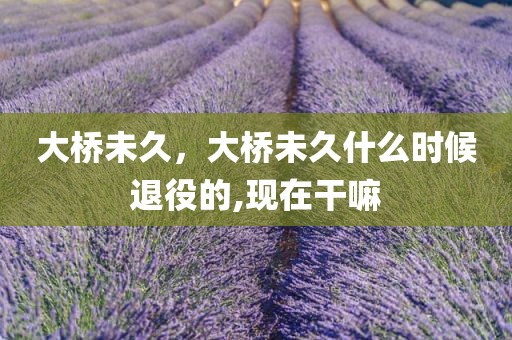 大桥未久，大桥未久什么时候退役的,现在干嘛