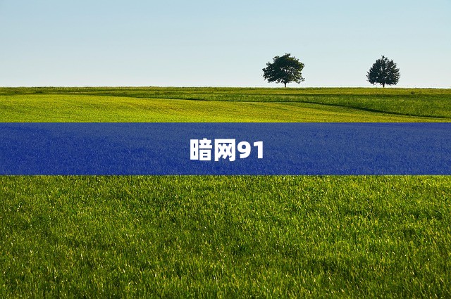 暗网91