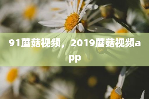 91蘑菇视频，2019蘑菇视频app