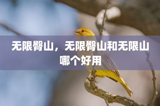 无限臀山，无限臀山和无限山哪个好用