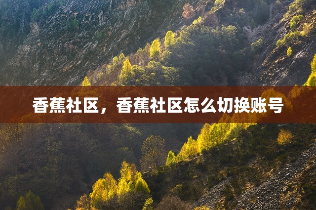 香蕉社区，香蕉社区怎么切换账号