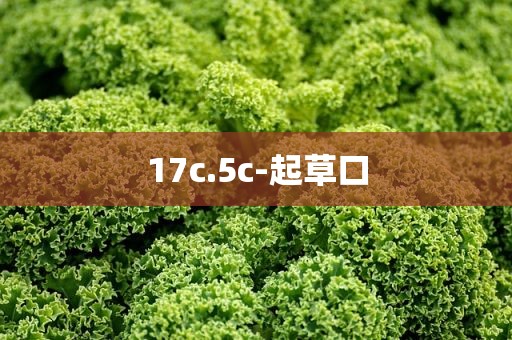 17c.5c-起草口