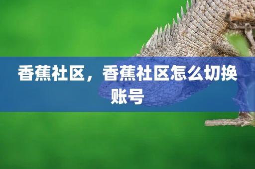 香蕉社区，香蕉社区怎么切换账号