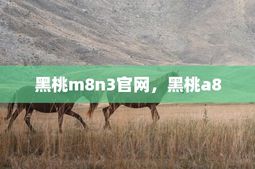 黑桃m8n3官网，黑桃a8
