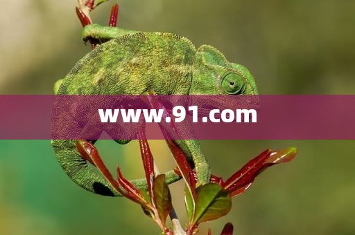 www.91.com