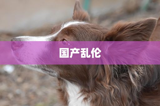 国产乱伦