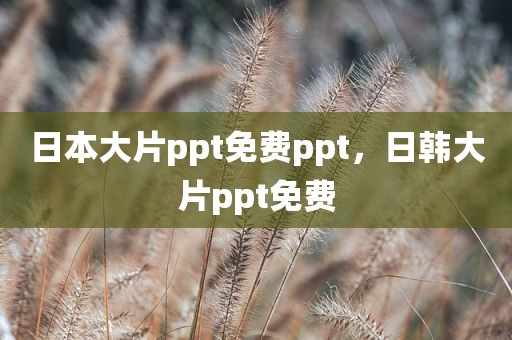 日本大片ppt免费ppt，日韩大片ppt免费