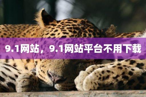 9.1网站，9.1网站平台不用下载