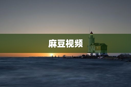 麻豆视频