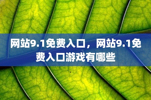 网站9.1免费入口，网站9.1免费入口游戏有哪些