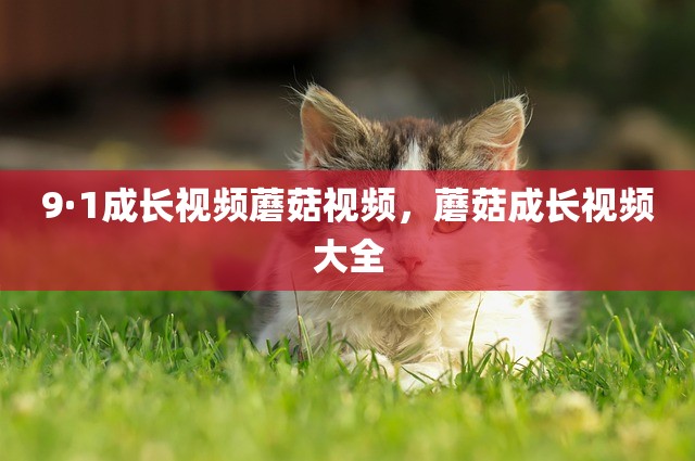 9·1成长视频蘑菇视频，蘑菇成长视频大全