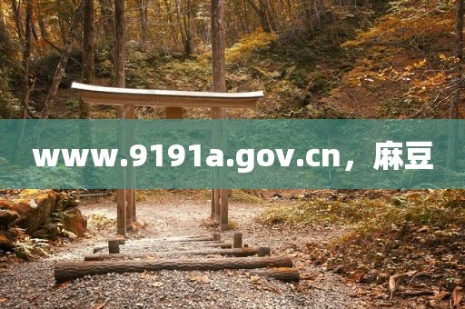 www.9191a.gov.cn，麻豆