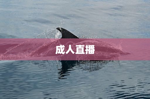 成人直播