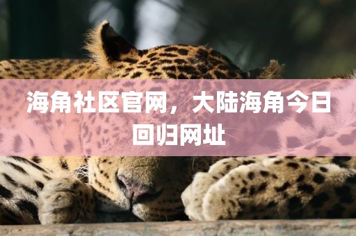 海角社区官网，大陆海角今日回归网址