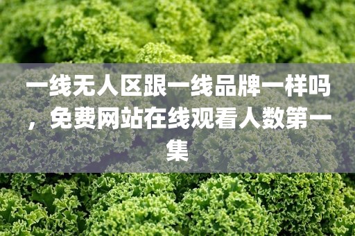 一线无人区跟一线品牌一样吗，免费网站在线观看人数第一集