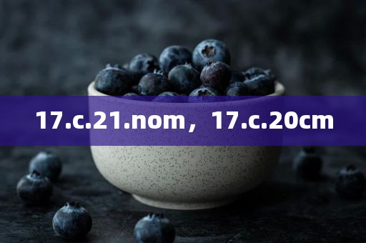 17.c.21.nom，17.c.20cm