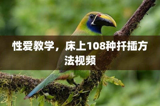 性爱教学，床上108种扦插方法视频
