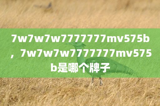 7w7w7w7777777mv575b，7w7w7w7777777mv575b是哪个牌子
