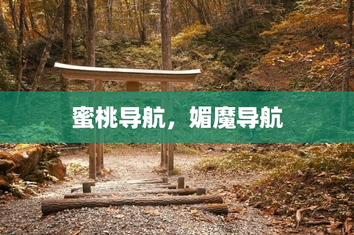 蜜桃导航，媚魔导航