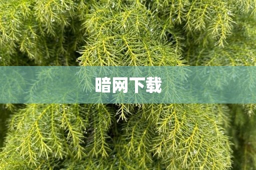 暗网下载
