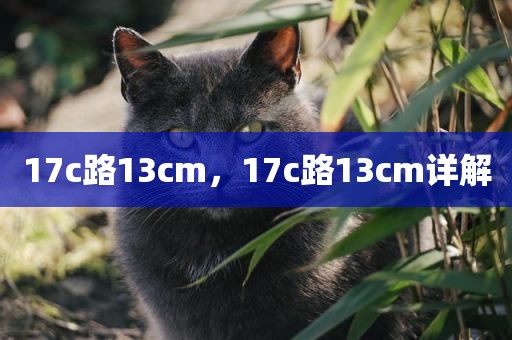 17c路13cm，17c路13cm详解