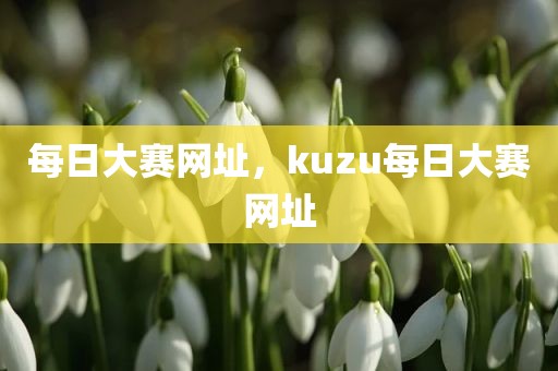 每日大赛网址，kuzu每日大赛网址