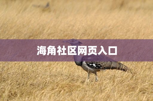 海角社区网页入口