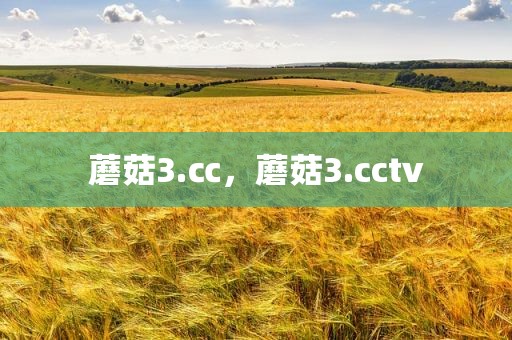 蘑菇3.㏄，蘑菇3.cctv