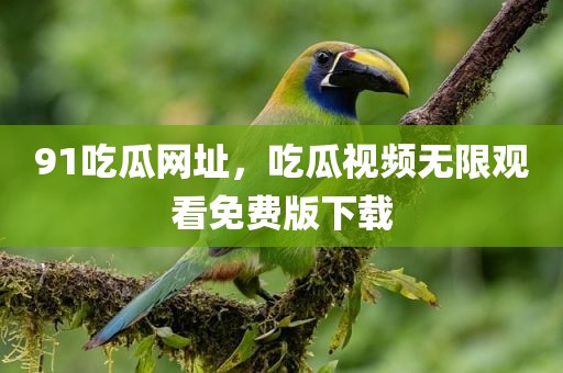 91吃瓜网址，吃瓜视频无限观看免费版下载