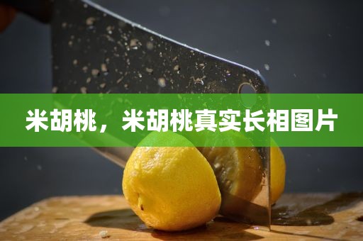 米胡桃，米胡桃真实长相图片