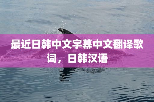 最近日韩中文字幕中文翻译歌词，日韩汉语