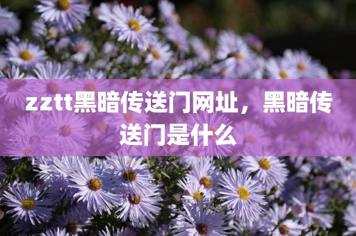 zztt黑暗传送门网址，黑暗传送门是什么