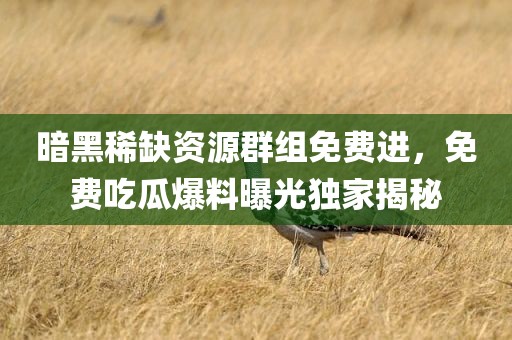 暗黑稀缺资源群组免费进，免费吃瓜爆料曝光独家揭秘