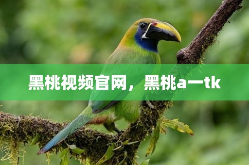 黑桃视频官网，黑桃a一tk
