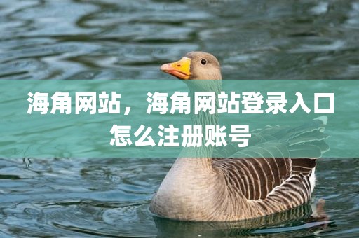海角网站，海角网站登录入口怎么注册账号
