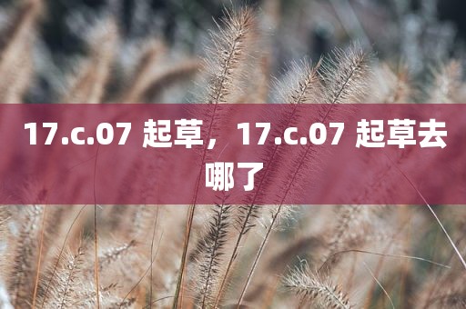 17.c.07 起草，17.c.07 起草去哪了