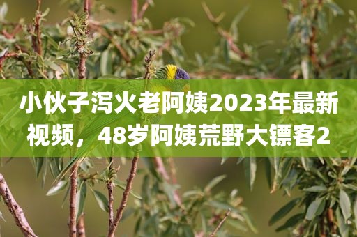 小伙子泻火老阿姨2023年最新视频，48岁阿姨荒野大镖客2