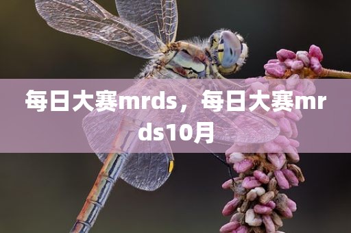 每日大赛mrds，每日大赛mrds10月