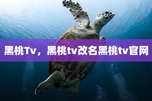 黑桃Tv，黑桃tv改名黑桃tv官网