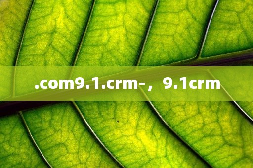.com9.1.crm-，9.1crm