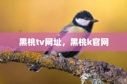 黑桃tv网址，黑桃k官网