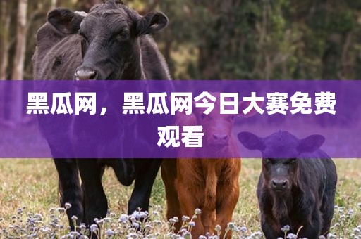 黑瓜网，黑瓜网今日大赛免费观看