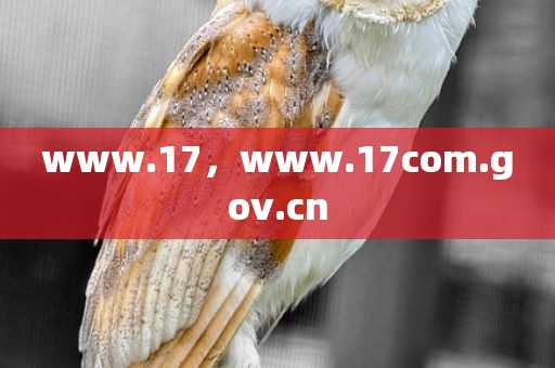 www.17，www.17com.gov.cn