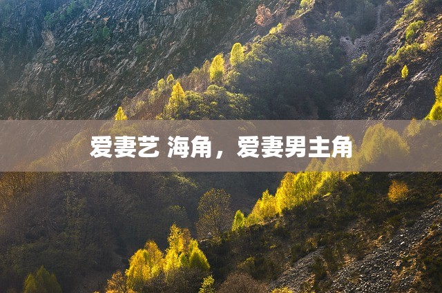 爱妻艺 海角，爱妻男主角