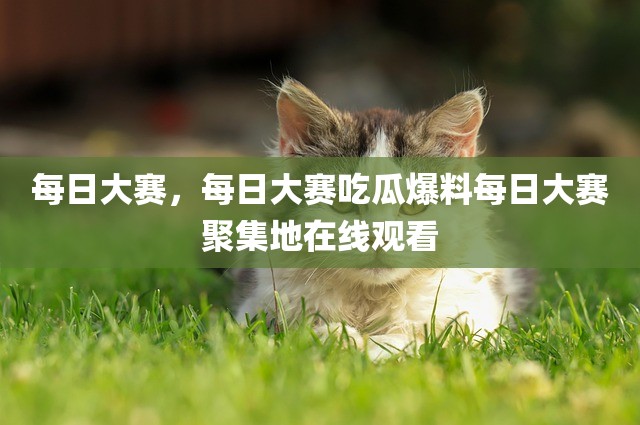 每日大赛，每日大赛吃瓜爆料每日大赛聚集地在线观看