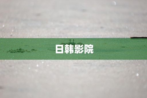 日韩影院